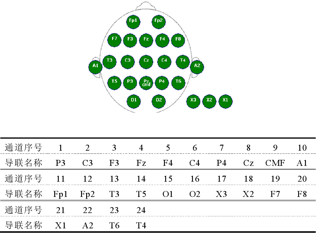 SSVEP干电极——数据导联编号表